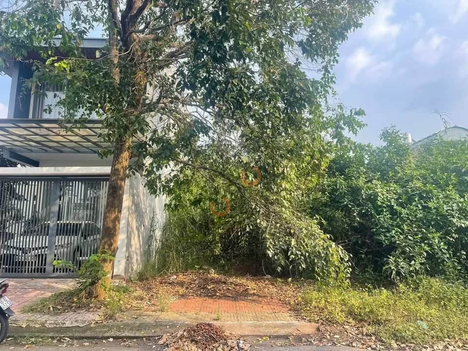 Bán đất KDC Văn Hóa Tây Đô Quận Cái Răng, TP. Cần Thơ – giá 4.3 tỷ