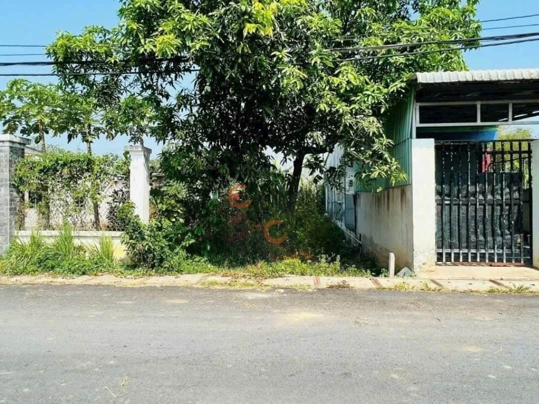 Bán đất Giồng Cát Huyện Củ Chi, TP.HCM – giá 2.9 tỷ