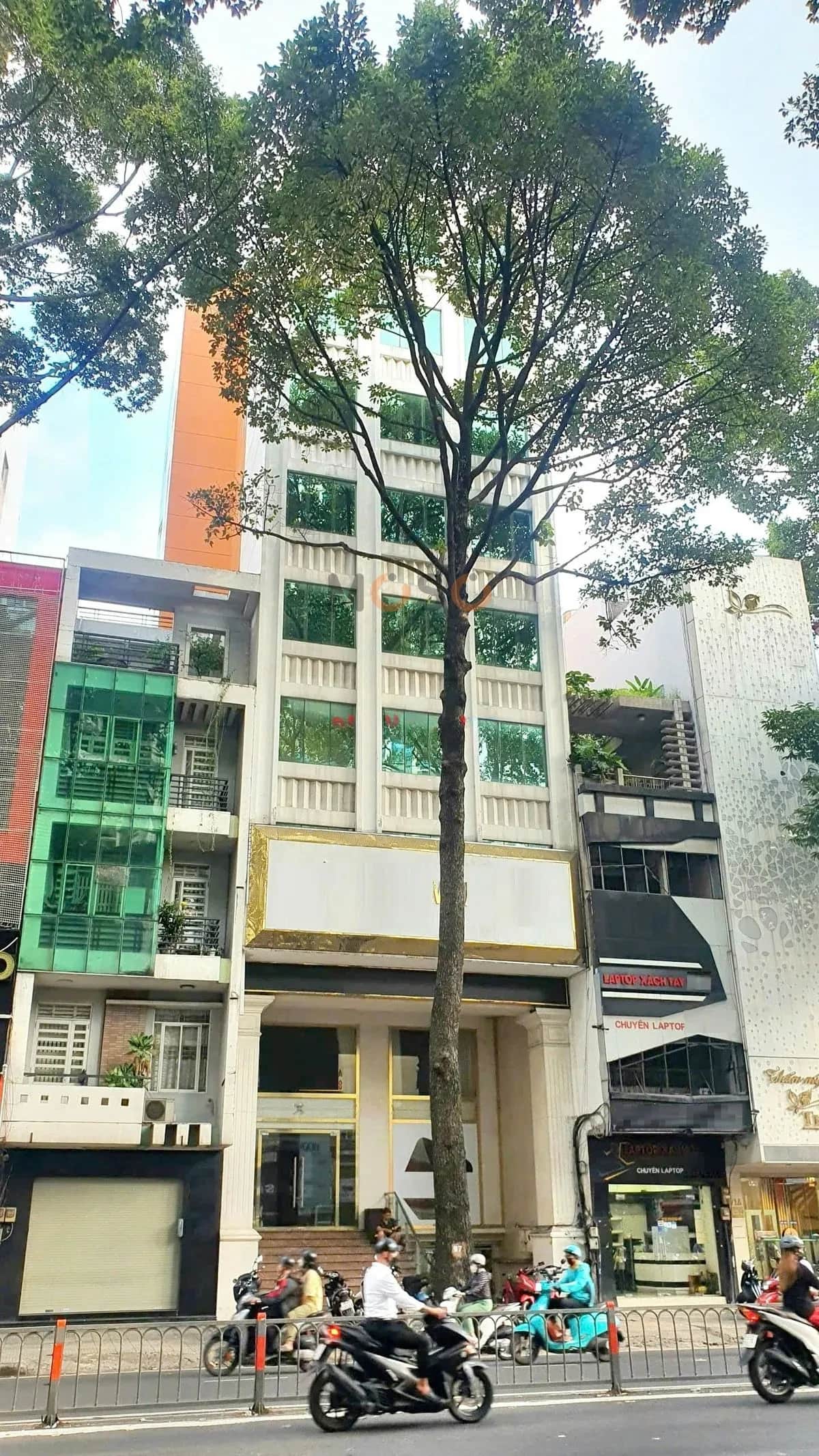 Main image