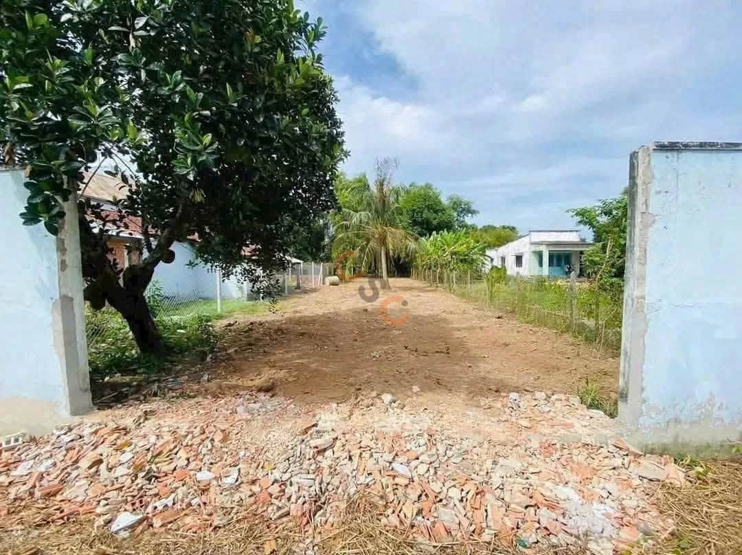 Bán đất đường số 89, ấp Cây Da Huyện Củ Chi, TP.HCM – giá 5 tỷ