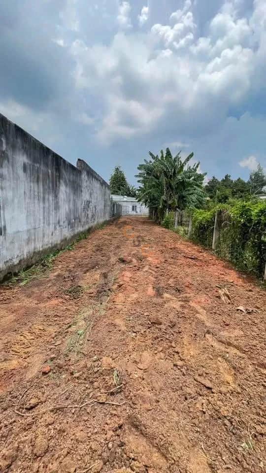 Bán đất Tương Bình Hiệp Thành phố Thủ Dầu Một, Bình Dương – giá 1.6 tỷ
