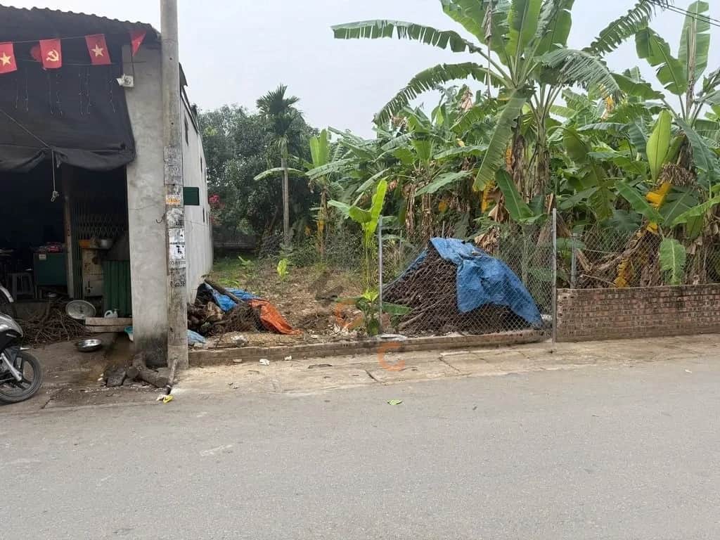 Bán đất Tiên Phong, thôn Áng Đông Huyện Ba Vì, TP. Hà Nội – giá 3.3 tỷ