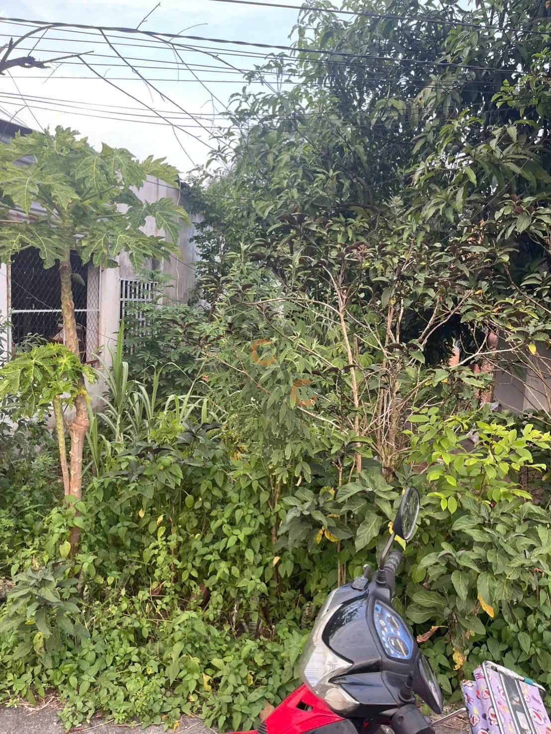 Bán đất Đường Phú An 036 Thành phố Bến Cát, Bình Dương – giá 1.2 tỷ