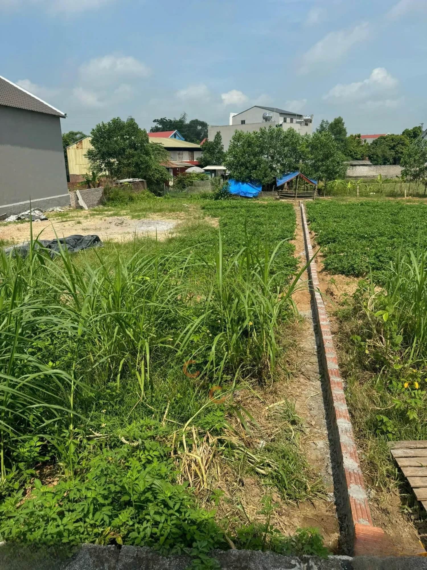 Bán đất Thôn Đông Thành  Huyện Tân Yên, Bắc Giang – giá 1.9 tỷ