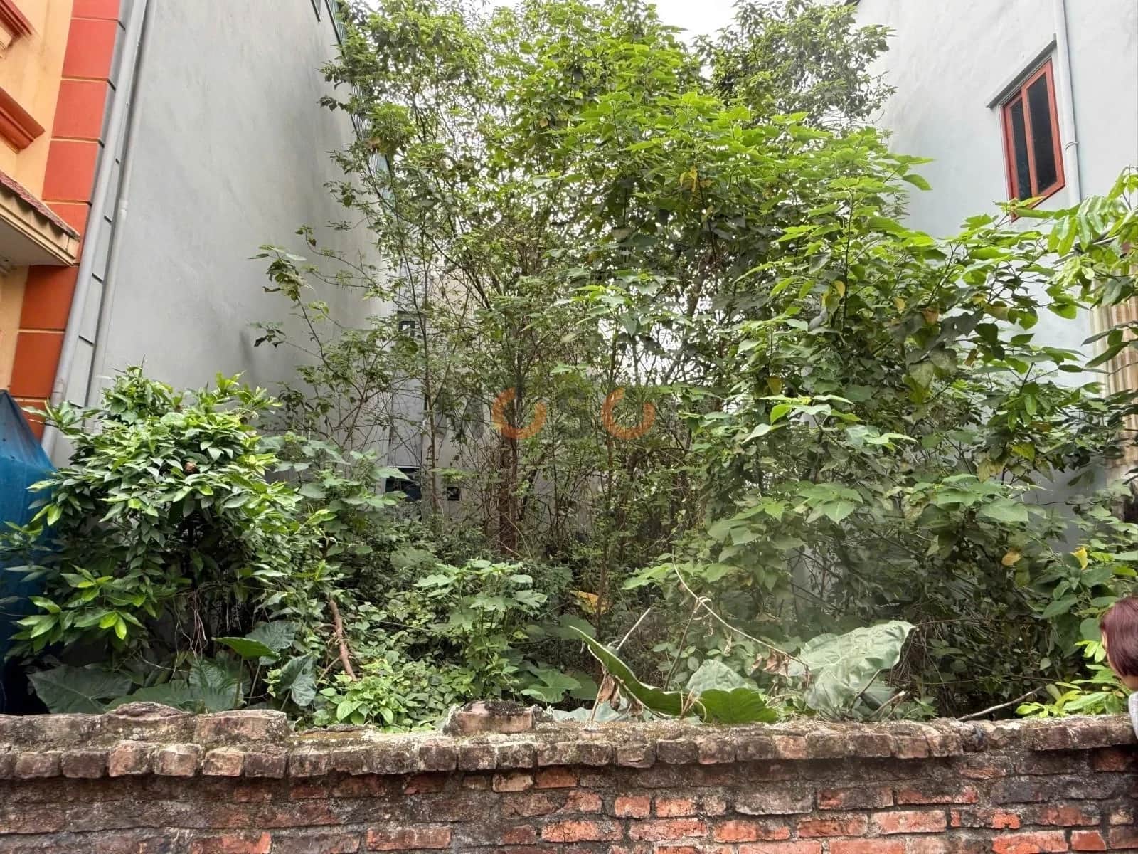 Bán đất thôn Xuân Thụy Huyện Gia Lâm, TP. Hà Nội – giá 5.5 tỷ