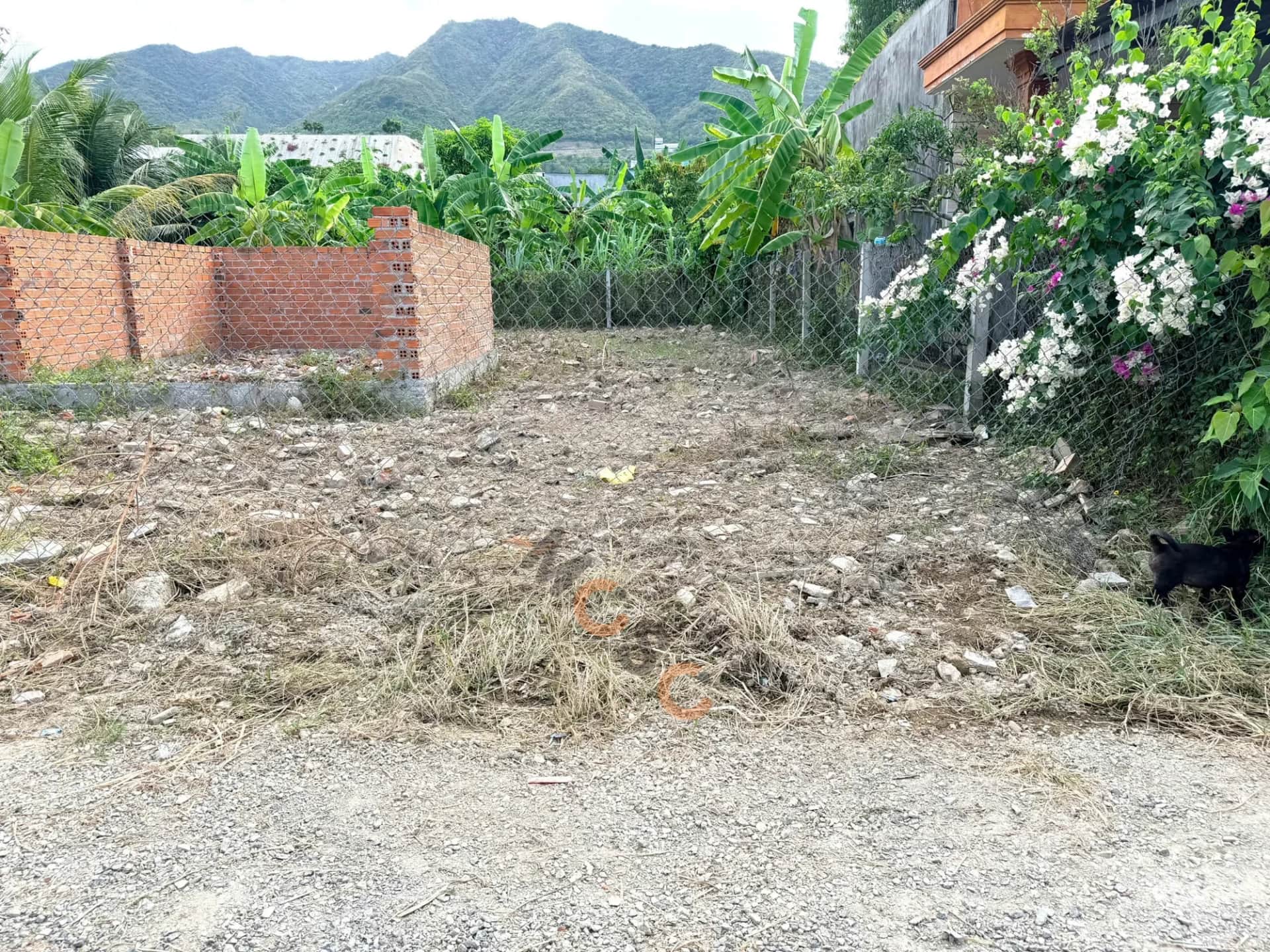 Bán đất TDP Đất Lành Thành phố Nha Trang, Khánh Hòa – giá 7.2 tỷ