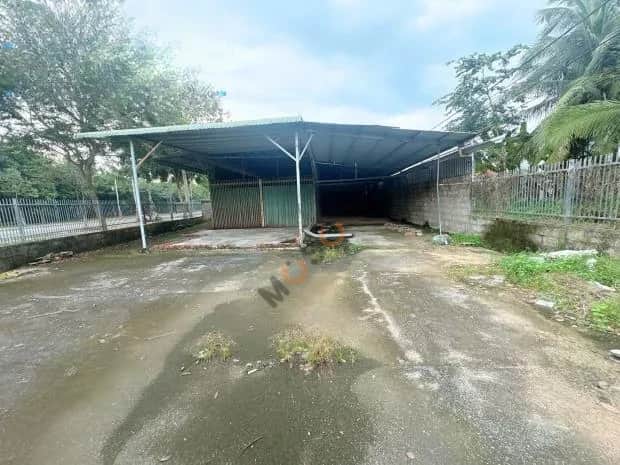 Cho thuê kho, nhà xưởng Phạm Ngọc Thảo Bến Tre, Bến Tre – giá 12 triệu