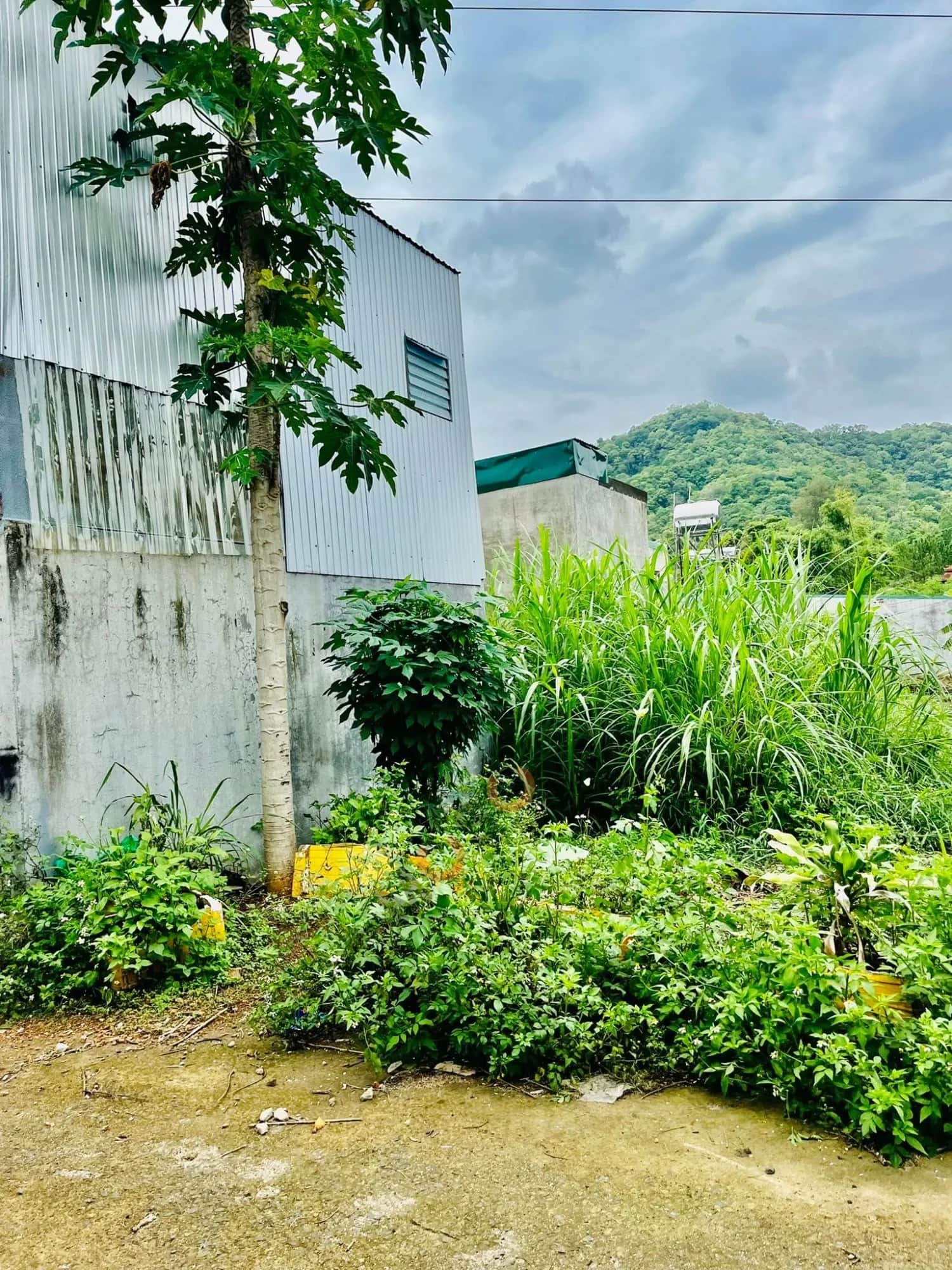 Bán đất Tạ Quang Bửu Thành phố Buôn Ma Thuột, Đắk Lắk – giá 830 triệu