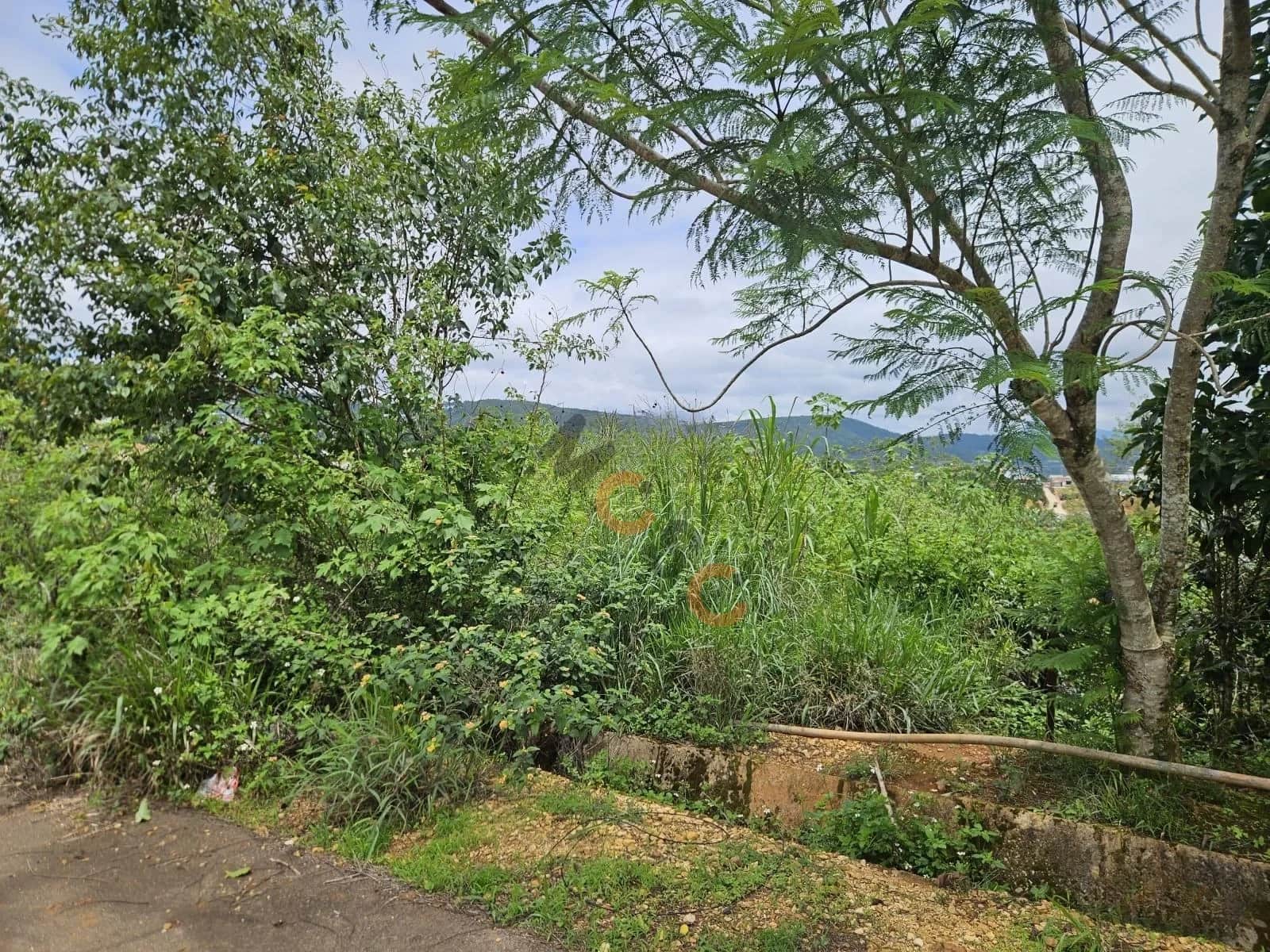Bán đất KQH Trường Xuân 2 Thành phố Đà Lạt, Lâm Đồng – giá 7 tỷ Bán đất KQH Trường Xuân 2 Thành phố Đà Lạt, Lâm Đồng – giá 7 tỷ