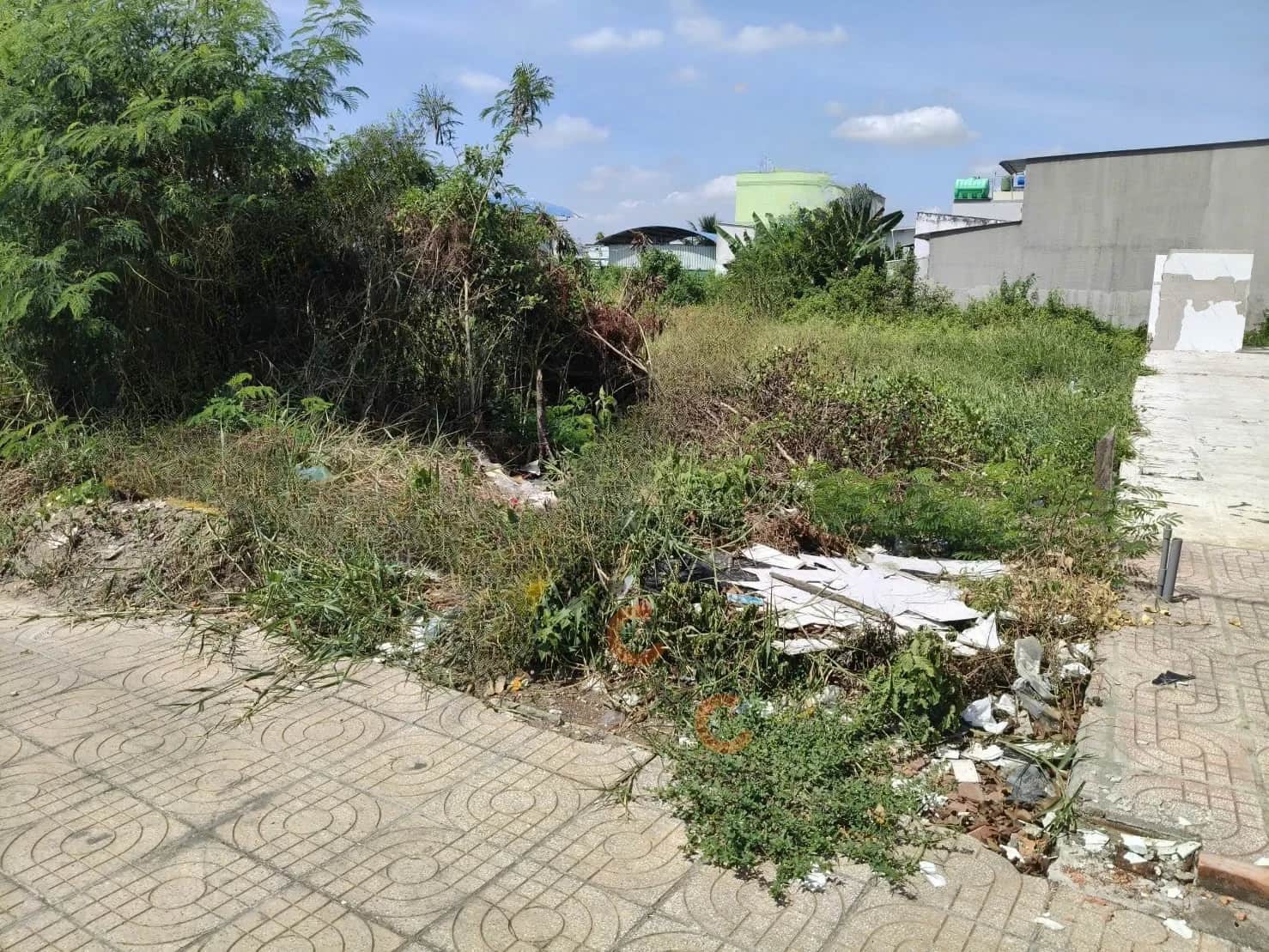 Bán đất Đường Việt Cúc Thành phố Gò Công, Tiền Giang – giá 2.2 tỷ