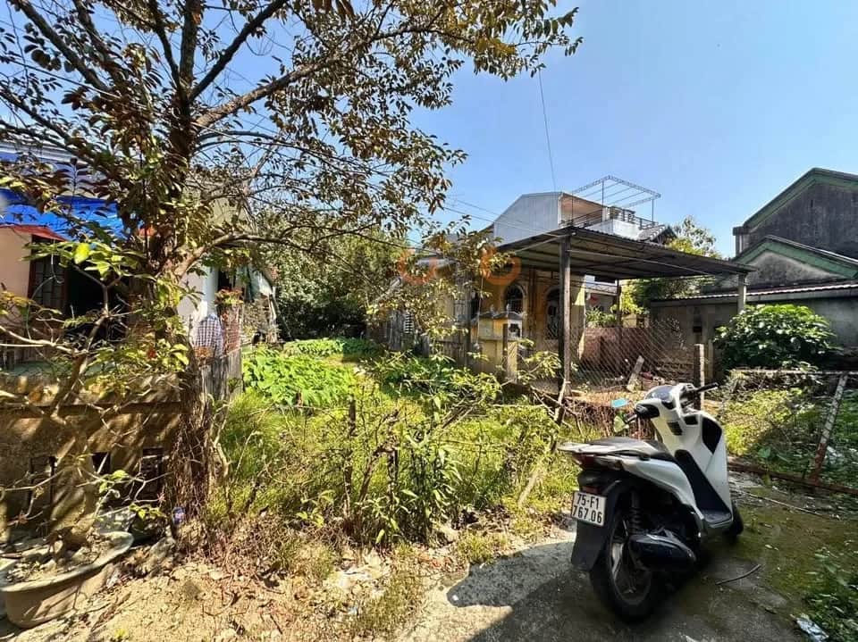 Bán đất Trường Chinh Quận Thuận Hóa, TP. Huế – giá 3.3 tỷ
