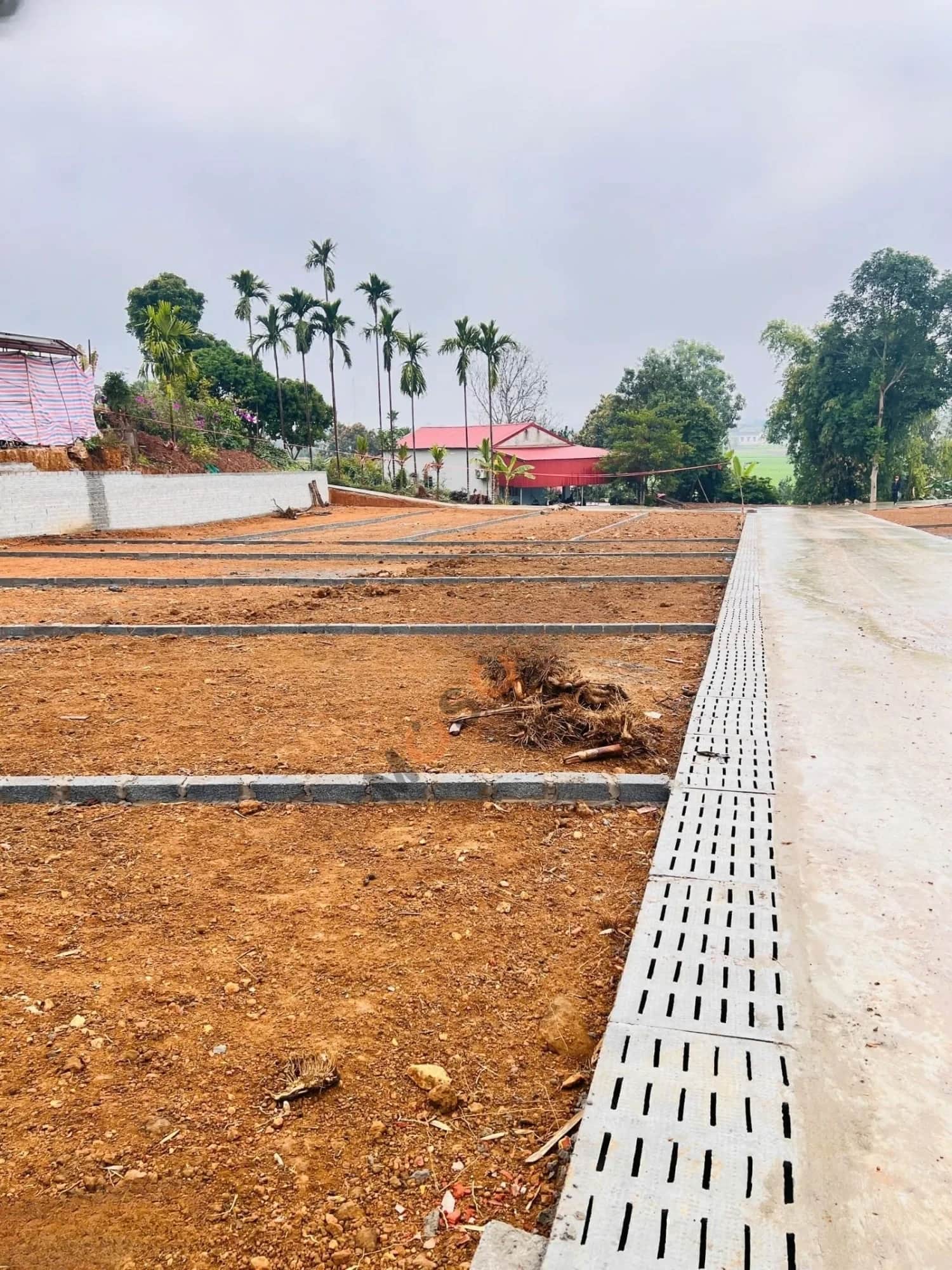 Bán đất hẻm đường Tỉnh lộ 317 Huyện Thanh Thuỷ, Phú Thọ – giá 330 triệu Bán đất hẻm đường Tỉnh lộ 317 Huyện Thanh Thuỷ, Phú Thọ – giá 330 triệu