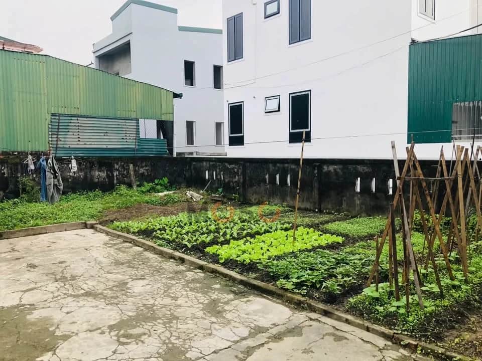Bán đất Xóm Trung Thuận Thành phố Vinh, Nghệ An – giá 3.5 tỷ