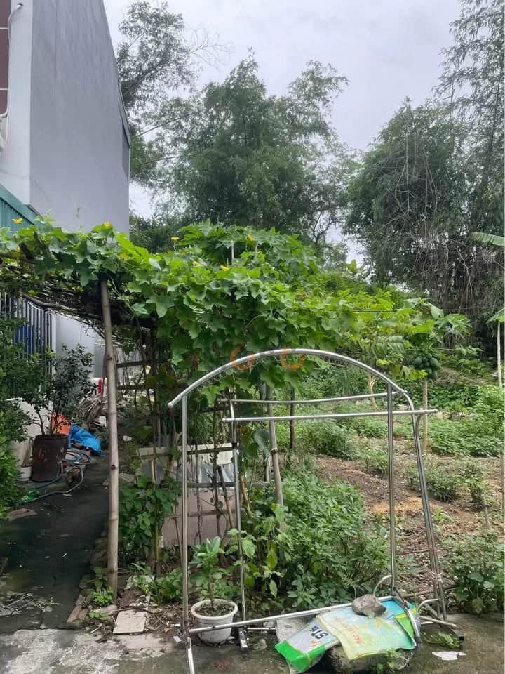 Bán đất Tổ 5, Khu 6 Thành phố Hạ Long, Quảng Ninh – giá 1.4 tỷ