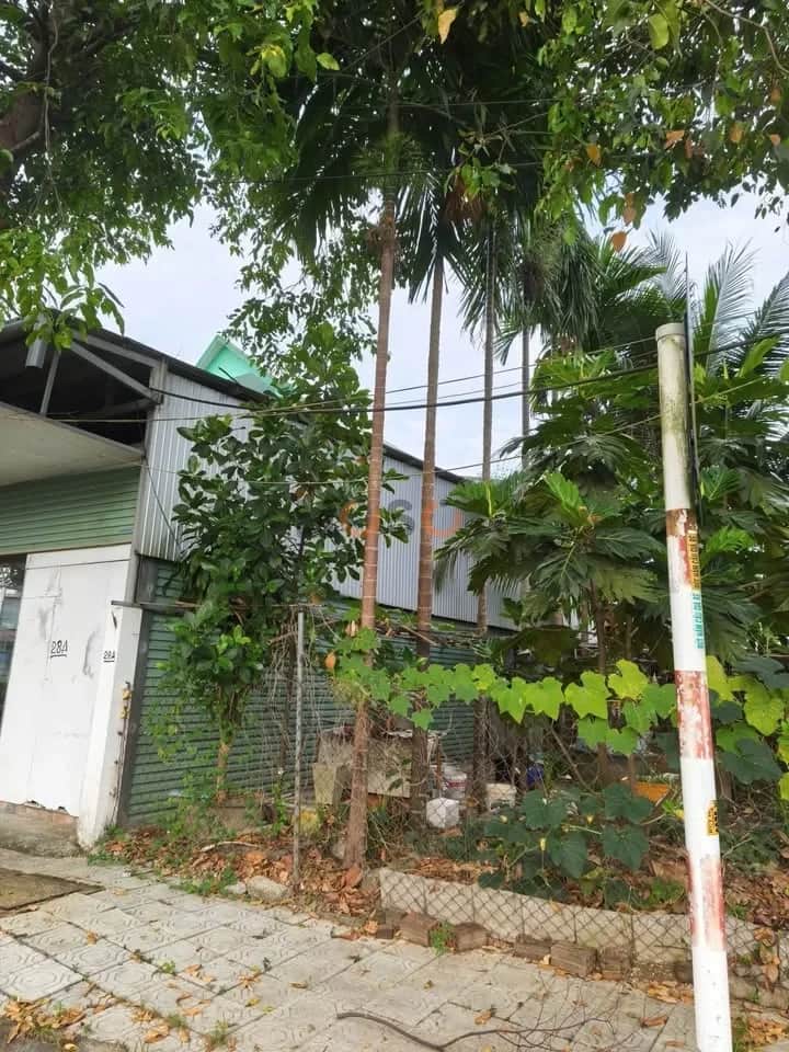 Bán đất Phạm Văn Thanh Thị xã Hương Thủy, TP. Huế – giá 4.5 tỷ