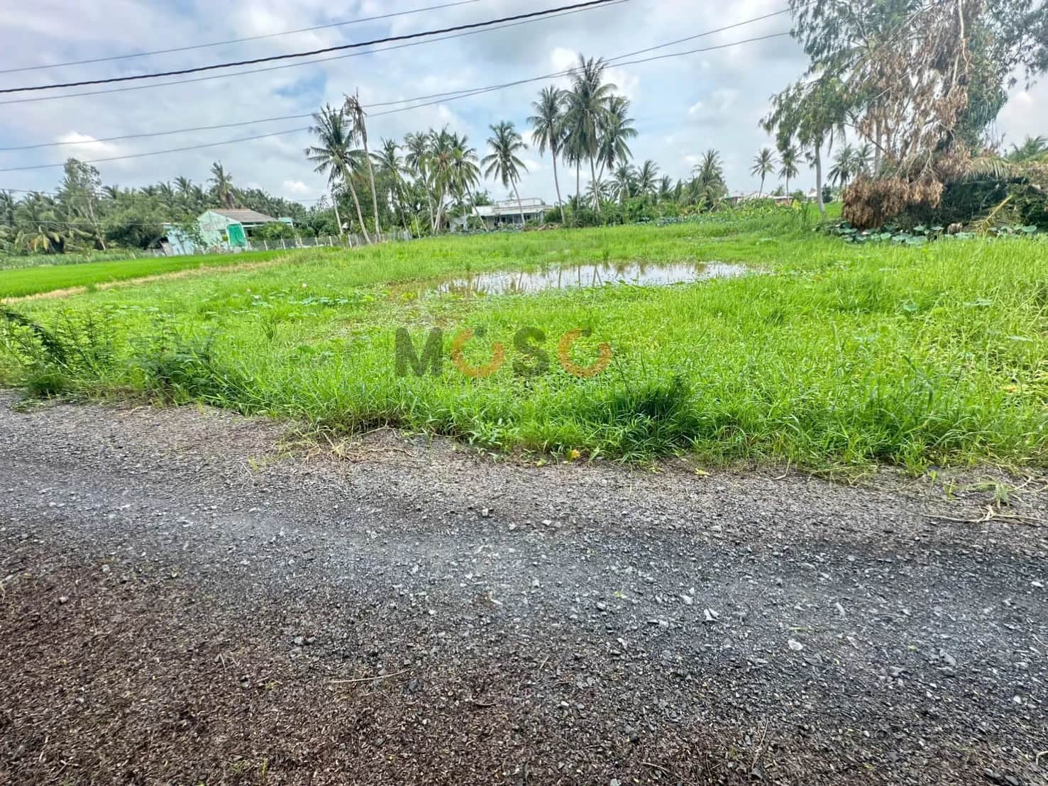 Bán đất Ấp Bình Nhựt Huyện Gò Công Tây, Tiền Giang – giá 550 triệu Bán đất Ấp Bình Nhựt Huyện Gò Công Tây, Tiền Giang – giá 550 triệu