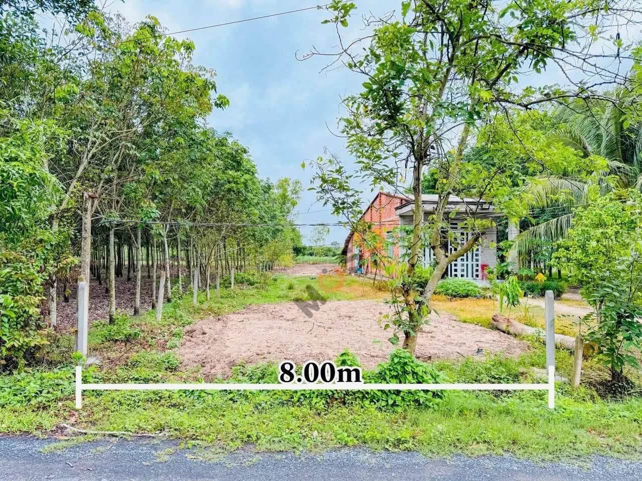 Bán đất hẻm đường Tỉnh Lộ 786 Huyện Bến Cầu, Tây Ninh – giá 520 triệu
