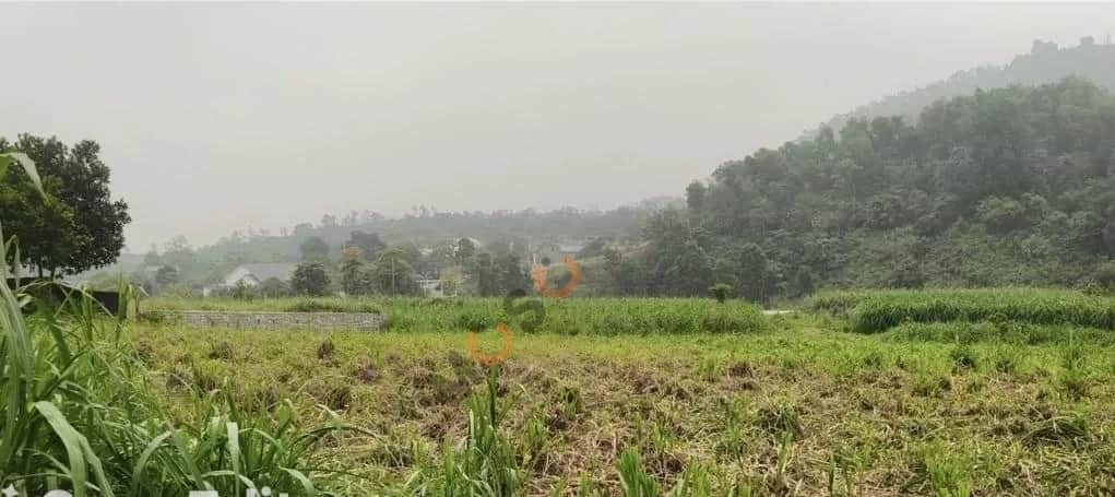 Bán đất đường Tỉnh Lộ 87A Huyện Ba Vì, TP. Hà Nội – giá 7 tỷ