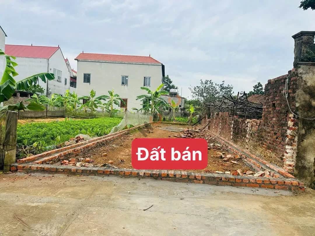 Bán đất thôn Yên Tàng Huyện Sóc Sơn, TP. Hà Nội – giá 1.8 tỷ
