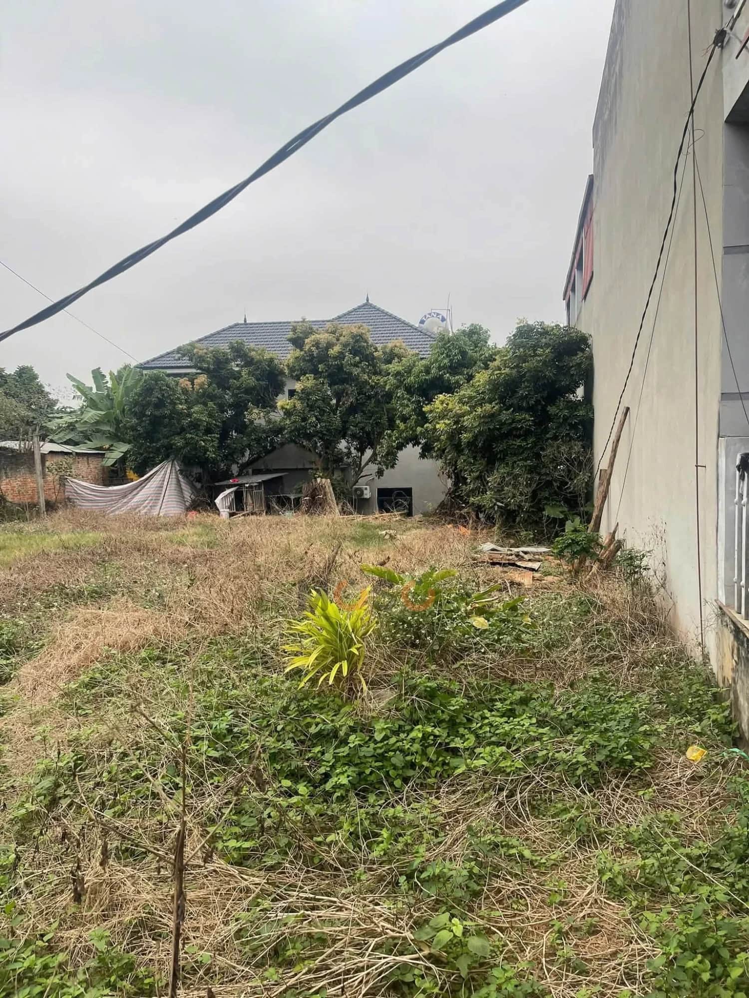 Bán đất Thôn Phú Ninh Huyện Tam Dương, Vĩnh Phúc – giá 2.5 tỷ