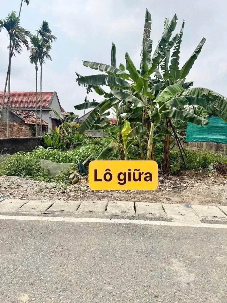 Bán đất Thôn 8 Thành phố Thuỷ Nguyên, TP. Hải Phòng – giá 2 tỷ