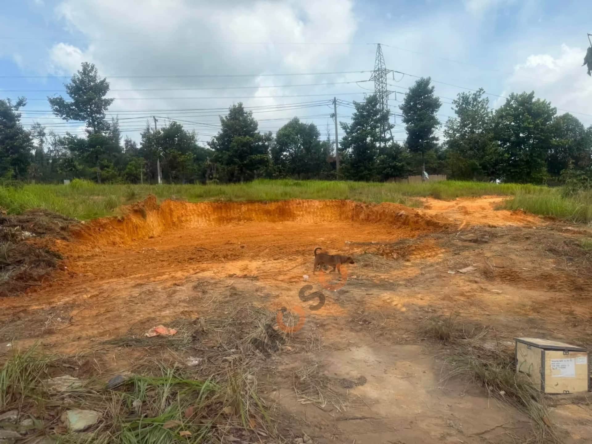 Bán đất đường D11 Thành phố Dĩ An, Bình Dương – giá 4.2 tỷ