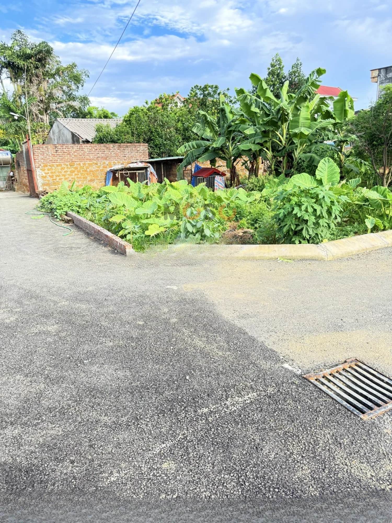Bán đất đường DH09 Huyện Quốc Oai, TP. Hà Nội – giá 3.7 tỷ