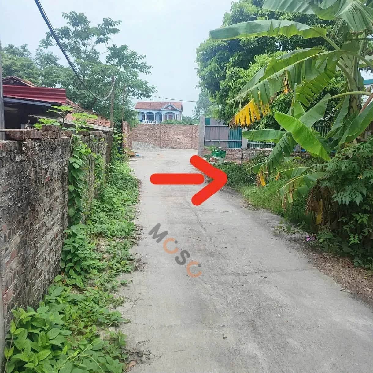 Bán đất Thôn Phú Ninh Huyện Tam Dương, Vĩnh Phúc – giá 1.6 tỷ