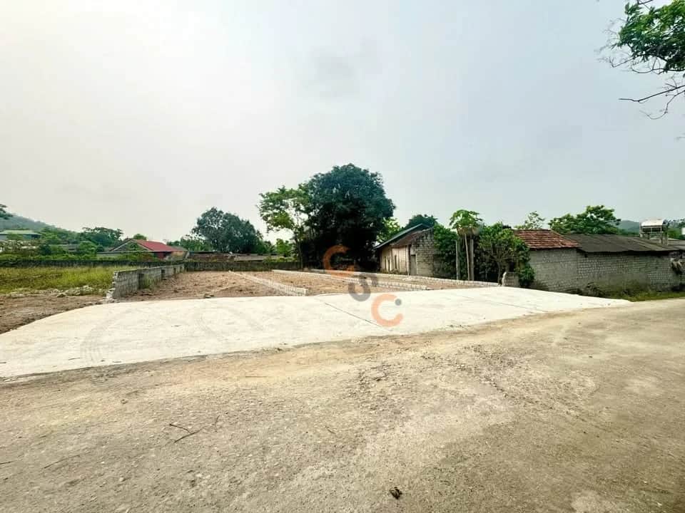 Bán đất Thôn Tân Lập Huyện Tam Đảo, Vĩnh Phúc – giá 586 triệu