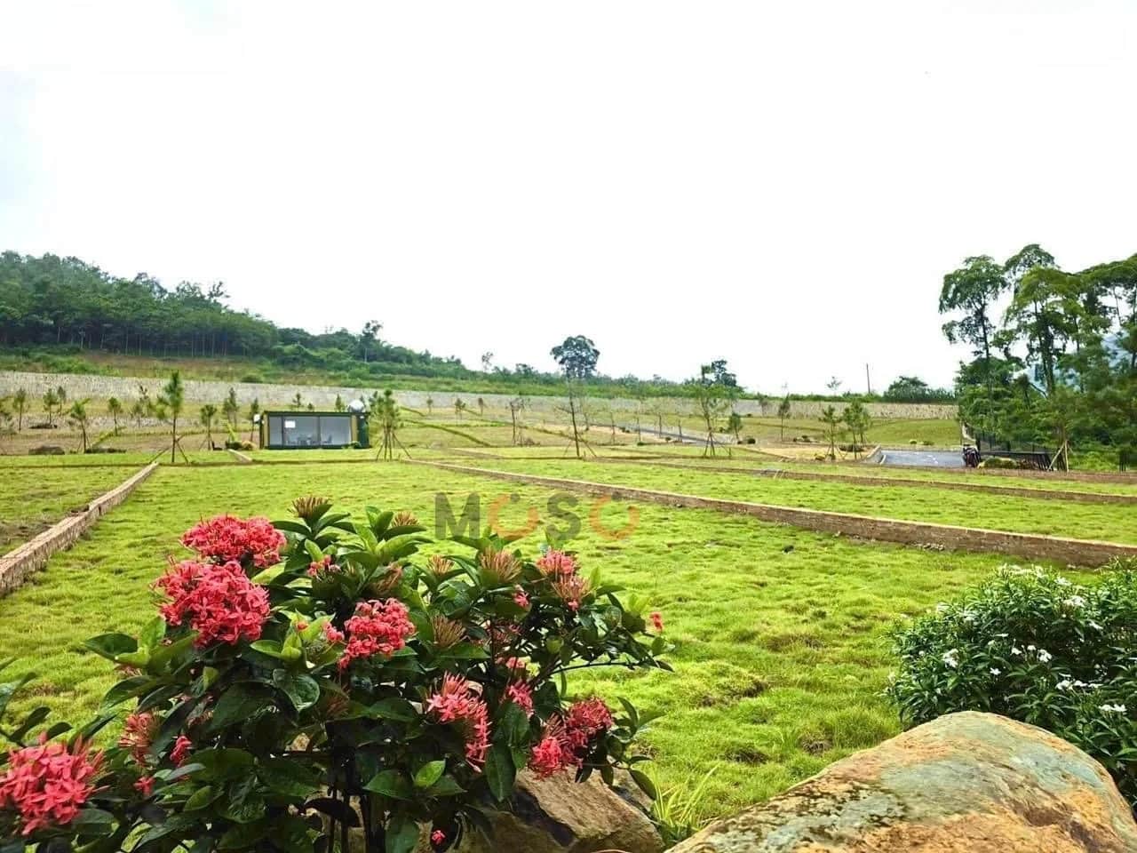 Bán đất Phú Mãn  Huyện Quốc Oai, TP. Hà Nội – giá 4 tỷ