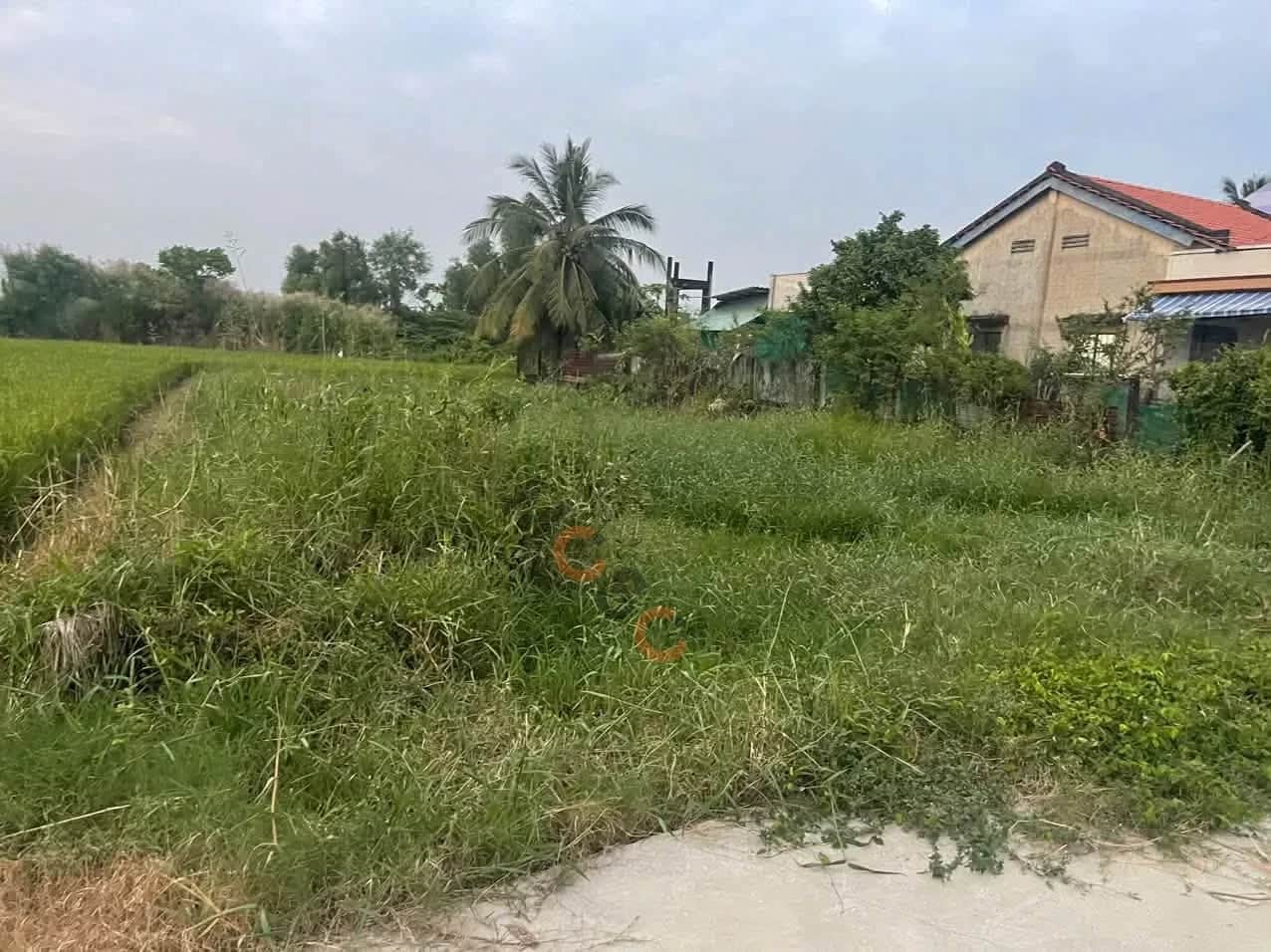 Bán đất Hẻm Đỗ Trinh Thoại Thành phố Tân An, Long An – giá 1.2 tỷ