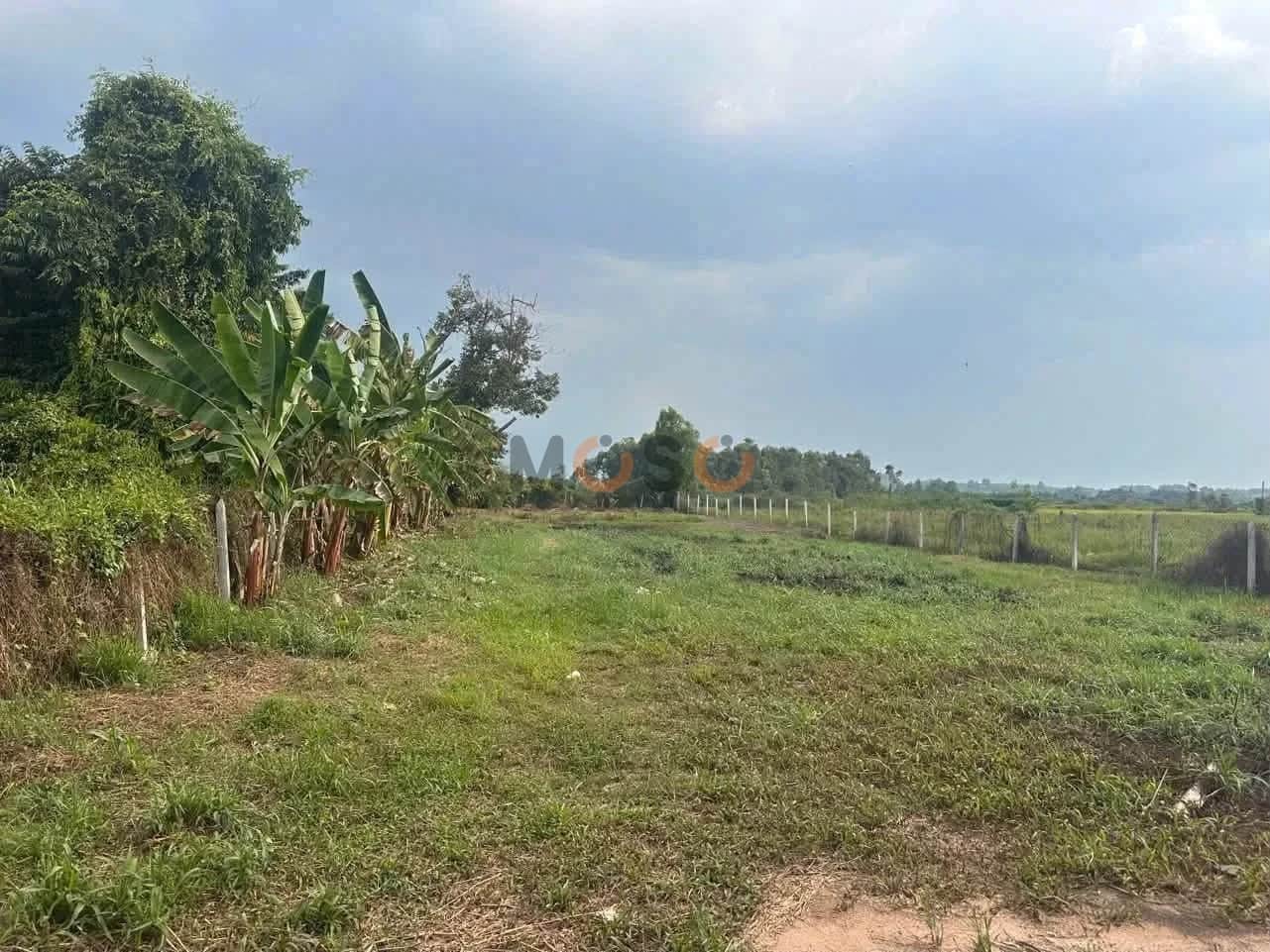 Bán đất Nhánh Phú An 075 Thành phố Bến Cát, Bình Dương – giá 2.5 tỷ
