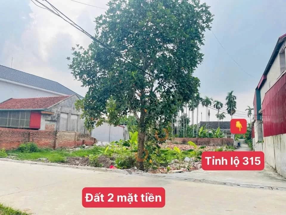 Bán đất hẻm đường TL 315, Khu 20 Huyện Tam Nông, Phú Thọ – giá 600 triệu