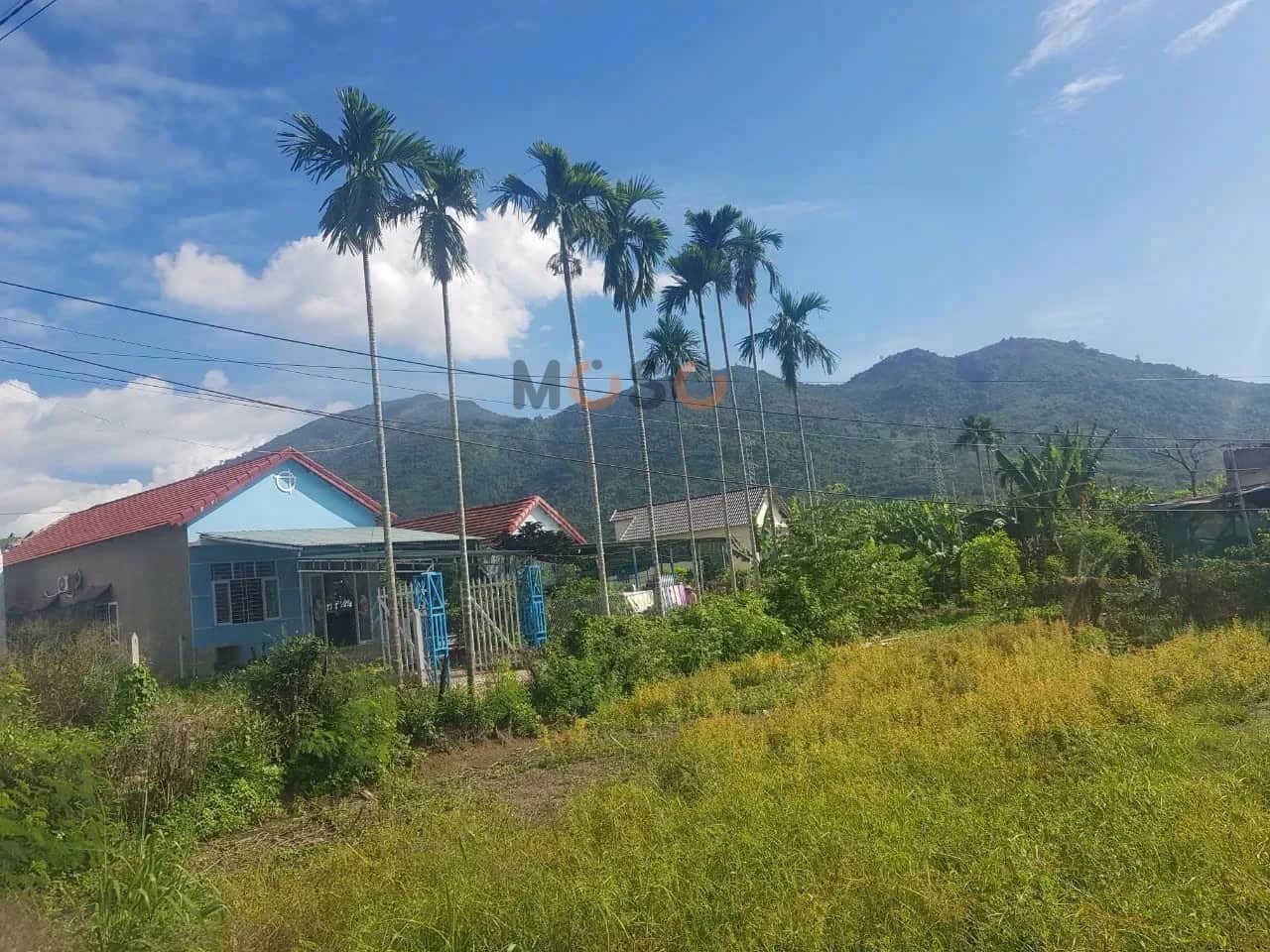 Bán đất thôn Đông 2  Huyện Diên Khánh, Khánh Hòa – giá 3.5 tỷ