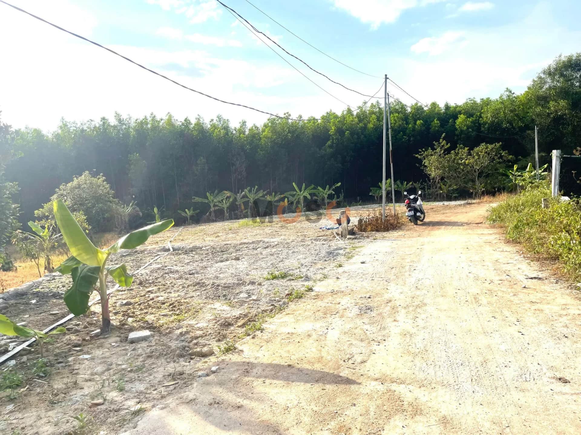 Bán đất Thôn Láng Nhớt  Huyện Diên Khánh, Khánh Hòa – giá 320 triệu