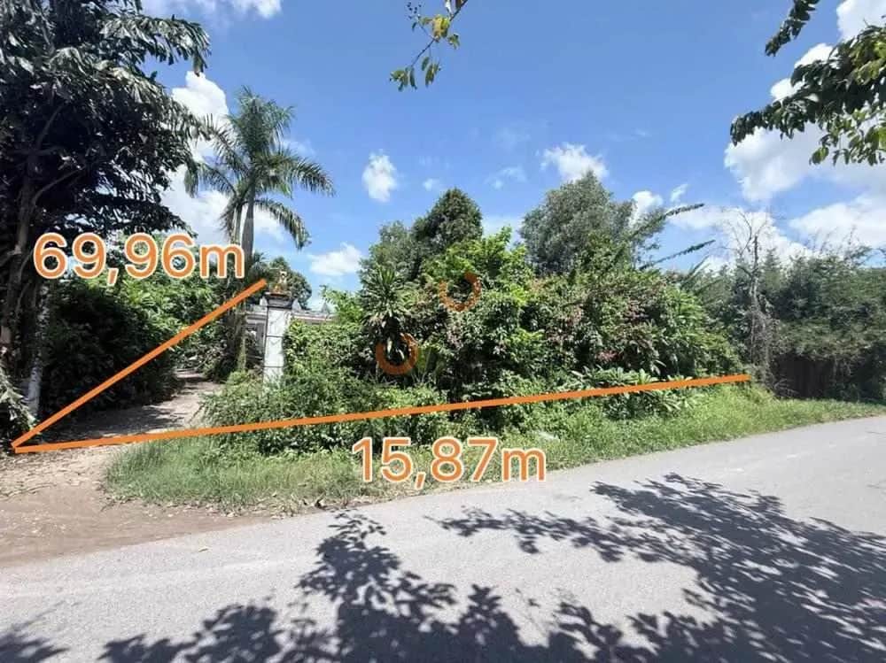Bán đất Đường 439 Củ Chi, TP. Hồ Chí Minh – giá 4.8 tỷ