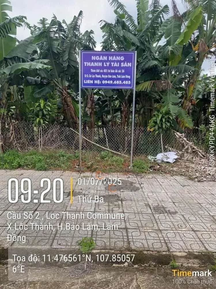 Bán đất Huyện Bảo Lâm, Lâm Đồng – giá 2 tỷ