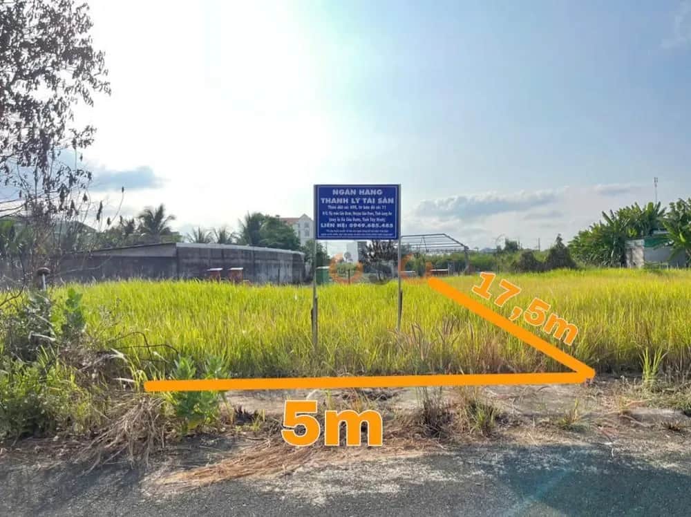 Bán đất Quốc lộ 50 Huyện Cần Đước, Long An – giá 727.1 triệu