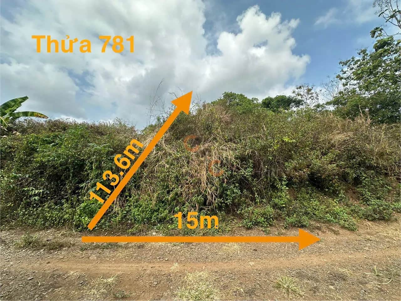 Bán đất Định Quán, Đồng Nai – giá 481 triệu