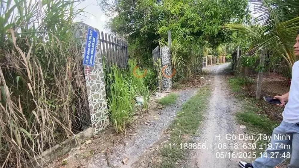 Bán đất ấp Cẩm An Huyện Gò Dầu, Tây Ninh – giá 5.4 tỷ