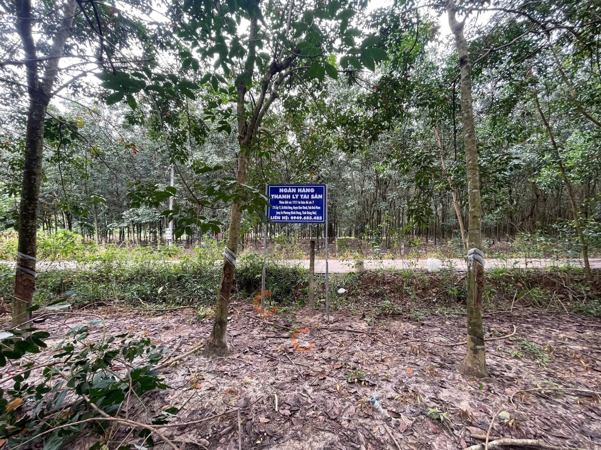 Bán đất Huyện Chơn Thành, Bình Phước – giá 4 tỷ
