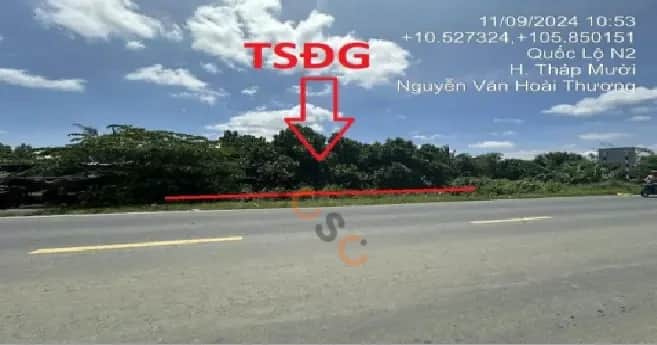 Bán đất Quốc lộ N2 Huyện Tháp Mười, Đồng Tháp – giá 1.6 tỷ