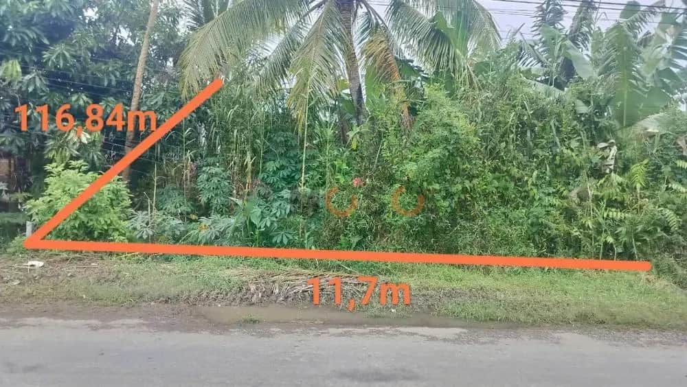 Bán đất Huyện Tam Bình, Vĩnh Long – giá 1.2 tỷ