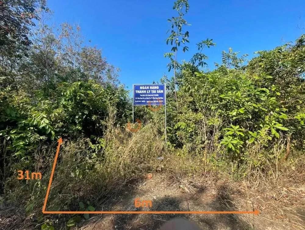 Bán đất Đường Nguyễn Thông Thị xã Phước Long, Bình Phước – giá 205 triệu