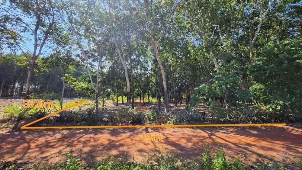 Bán đất An Bình Huyện Phú Giáo, Bình Dương – giá 936 triệu