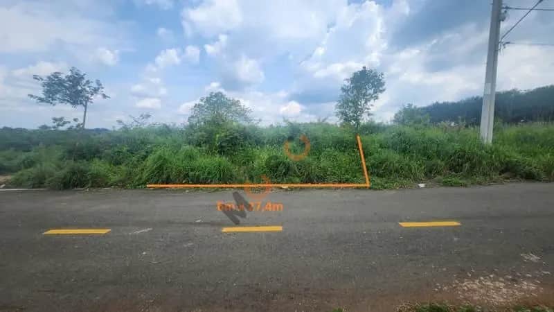 Bán đất Huyện Bù Đăng, Bình Phước – giá 296.3 triệu