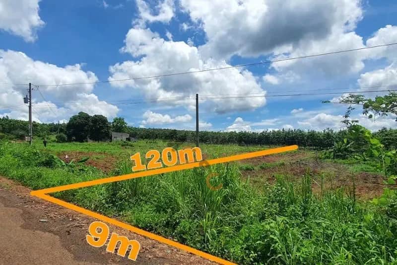 Bán đất Unnamed Huyện Bù Gia Mập, Bình Phước – giá 174 triệu