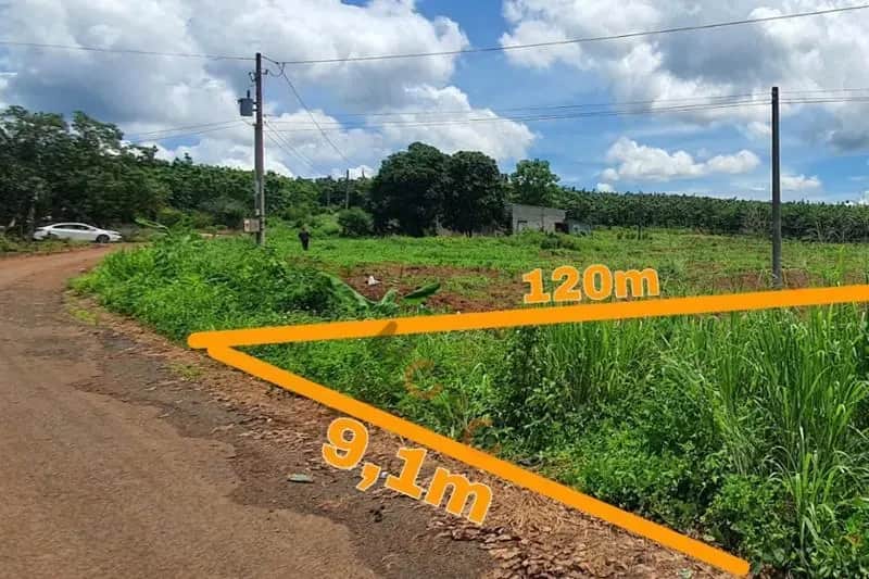 Bán đất Unnamed Huyện Bù Gia Mập, Bình Phước – giá 208 triệu