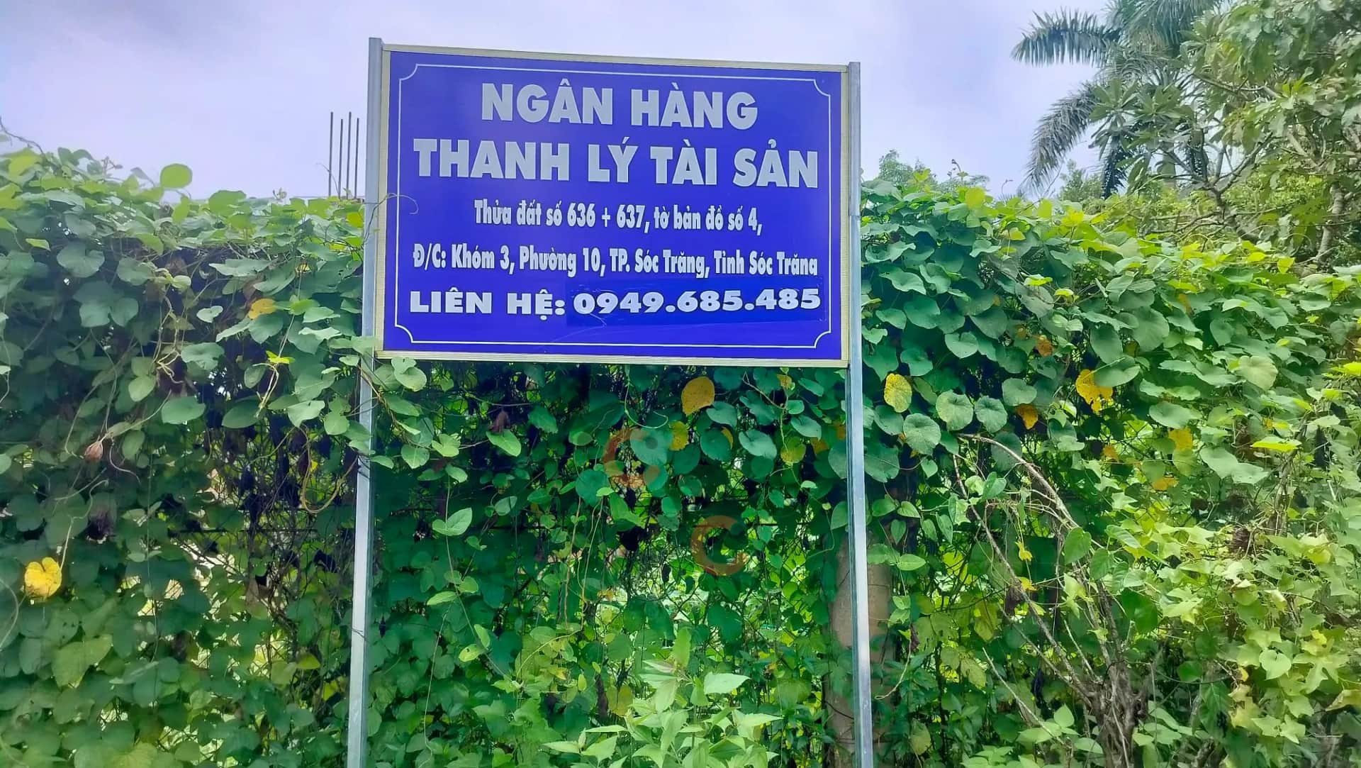 Bán đất Quốc lộ 1A Thành phố Sóc Trăng, Sóc Trăng – giá 2.4 tỷ