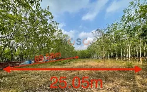 Bán đất Khu Phố 5 Huyện Dầu Tiếng, Bình Dương – giá 3.4 tỷ